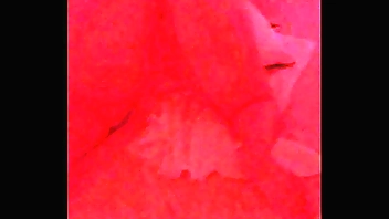 Hong Kong girl boss letting me jerk off to her ass while my uber comes