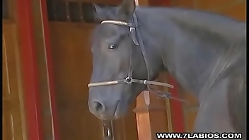 Semental negro con gran pene negro